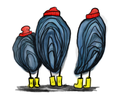 curiousoysters no background michael ellis.webp